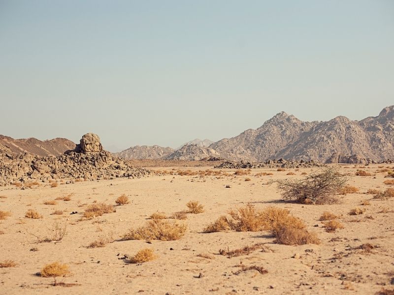 <p>Viaggio in Egitto - Deserto bianco e nero</p>